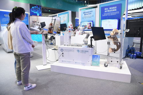 从“中国的硅谷”到“世界的中关村” 2024论坛解码科技创新的全球服务新范式