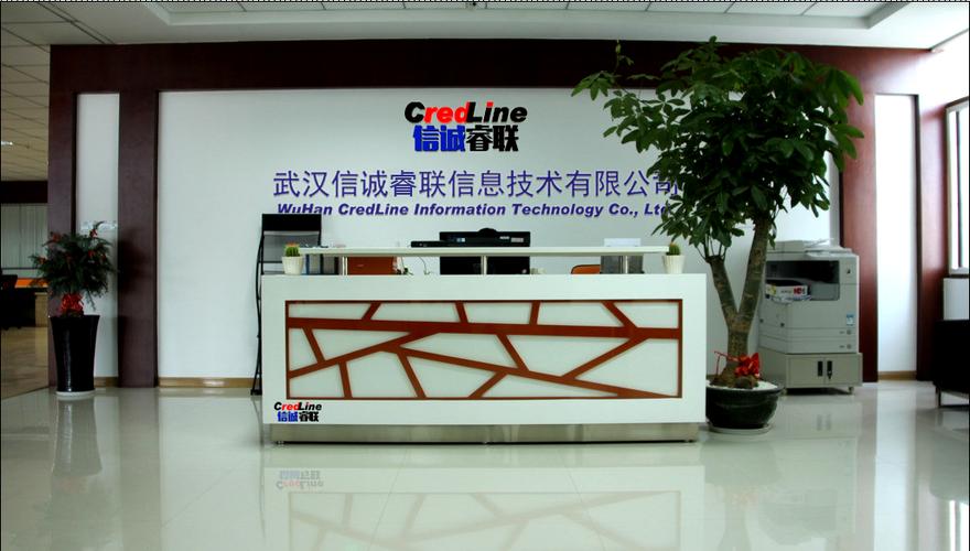 武汉信诚睿联信息技术